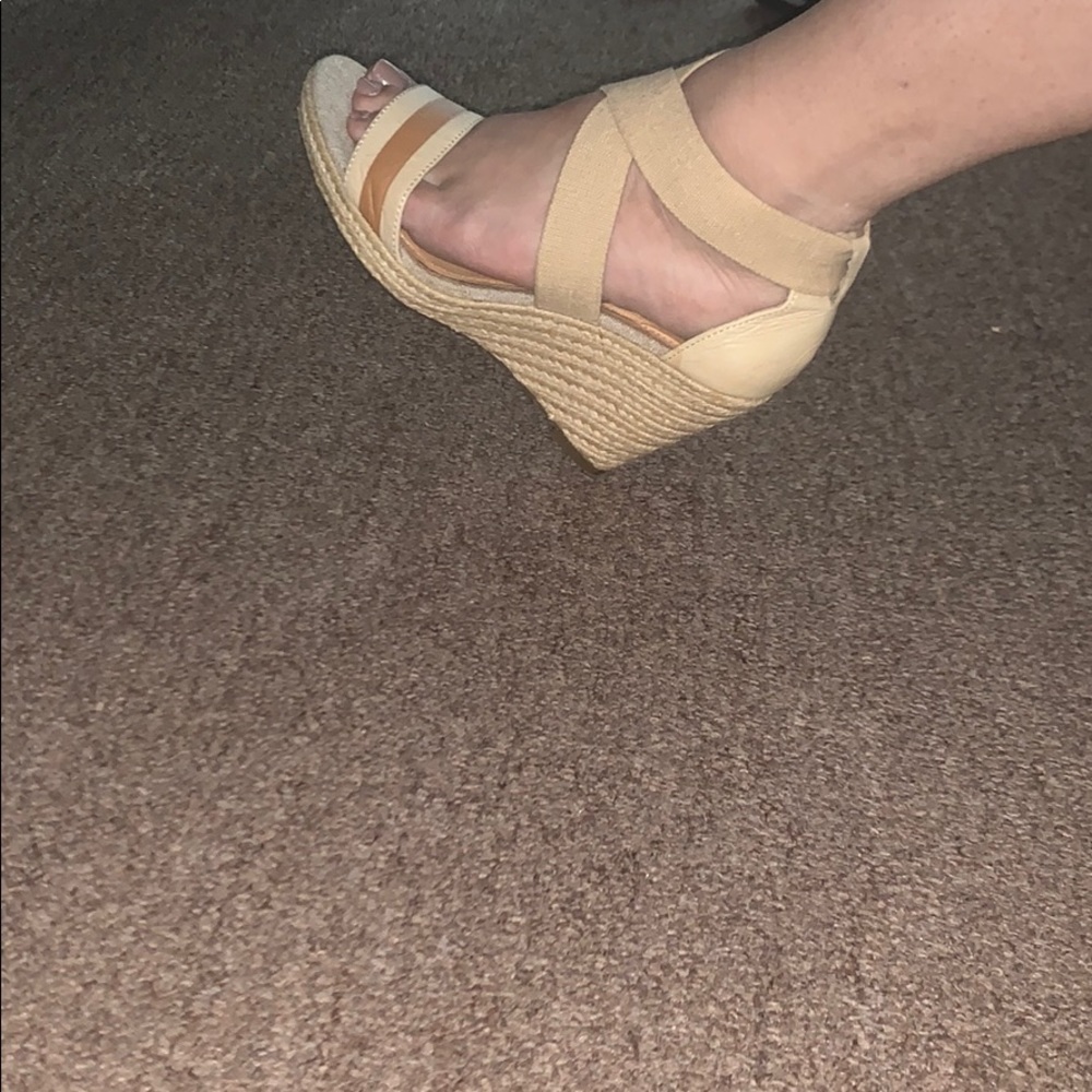 Fossil wedges - Picture 3 of 4